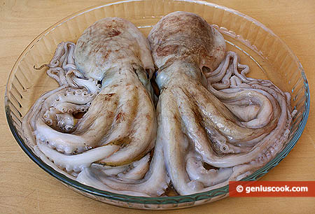 Recipes for octopus