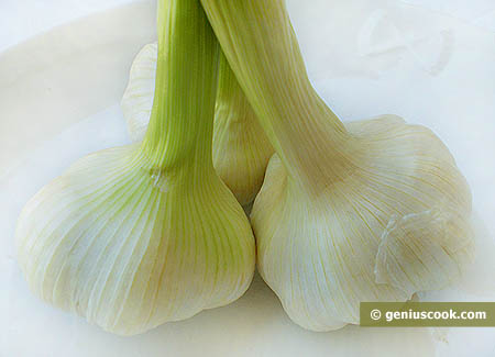 Green Garlic