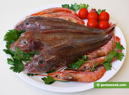 Ingredients for Gurnard with Shrimps in Tomato Sauce