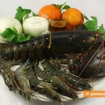 Ingredients for Lobster with Tiger Shrimps in Cream and Orange Sauce