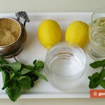 Ingredients for Martini with Mint and Lemon