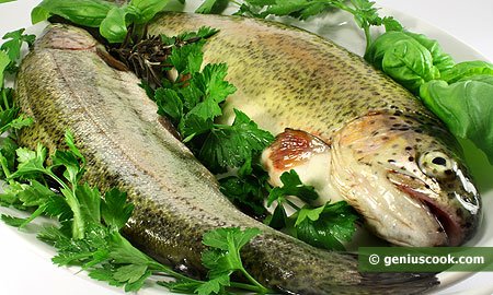 Trout is Rich with Omega3 Fat Acids