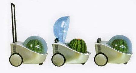 A Portable Refrigerator for Watermelons