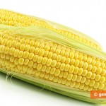 Young Corn Will Make You Younger