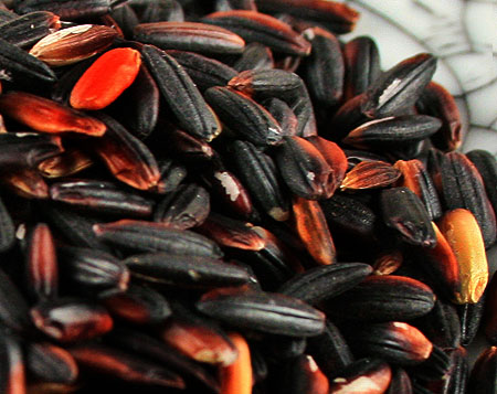 Black Rice Is an Excellent Source of Antioxidants