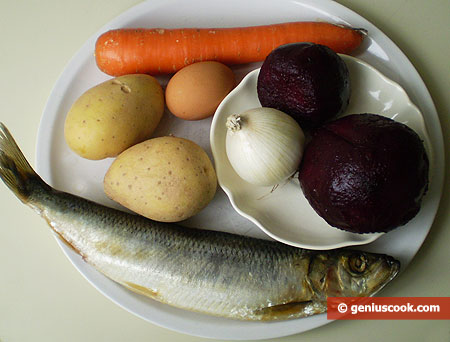 Ingredients for salad Dressed Herring