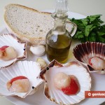 Ingredients for Scallops Baked in Shells