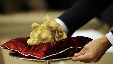 White Truffle Sets Price Record