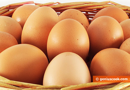 Egg Alarm in Germany