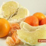 Ingredients for Citrus Salad