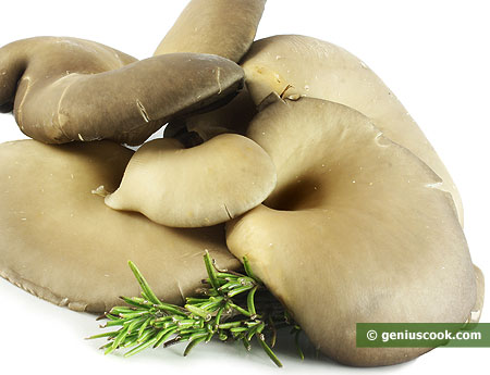 Oyster Mushrooms Help in Slimming Down