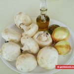 Ingredients for Field Mushrooms Fried
