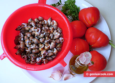 Ingredients for Sea Snails in Tomato Sauce