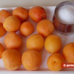 Ingredients for Apricot Sorbet