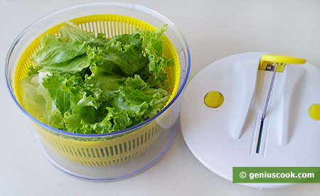 Salad Centrifugal Dryer