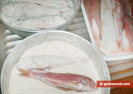 Roll every fish in flour