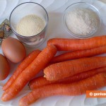 Ingredients for Carrot Patties