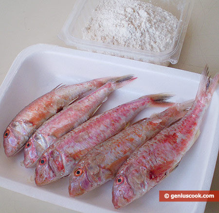 Ingredients for Fried Surmullet