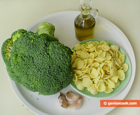 Ingredients for Orecchiette with Broccoli