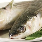 Fish Intake Lowers Diabetes Risk