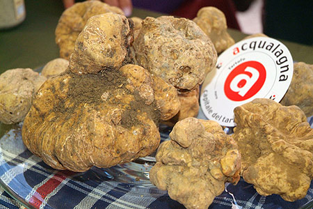 White Truffle