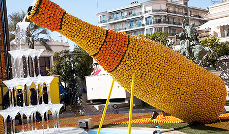 The Lemon Festival