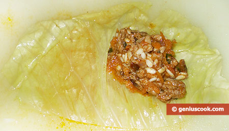 cabbage leaves and filling 