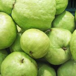 guava