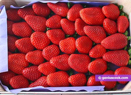 Strawberry for Sorbet