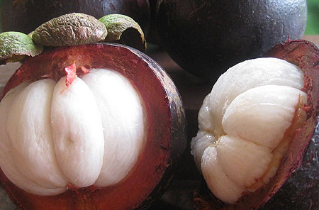 mangosteen or garcinia mangostana