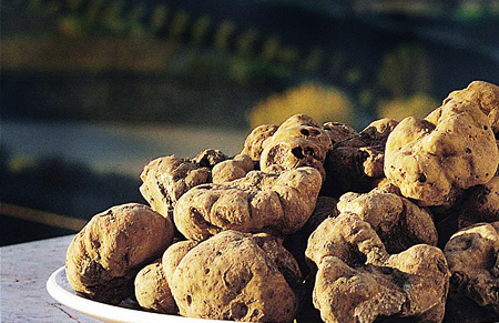 white truffle