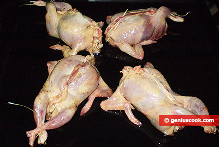 Place the fowls on an oiled tray