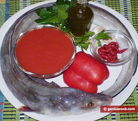 Ingredients for Conger in Tomato Sauce