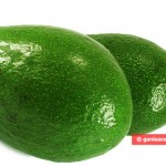Avocado Improves Metabolism