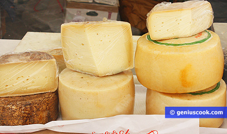 Different types of delicious goat cheese