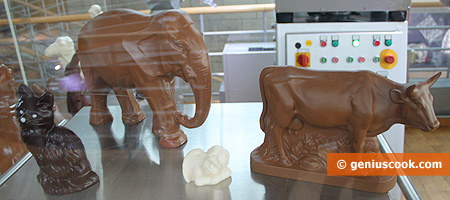 Chocolate cow, and even an elephant