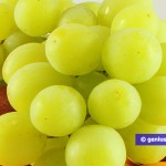 Grapes Prevents Cardiac Failure
