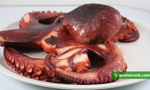 boiled octopus