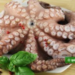 Ingredients for Octopus Carpaccio