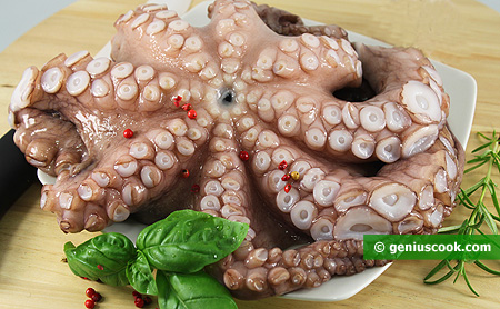 Ingredients for Octopus Carpaccio