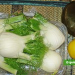 Ingredients for Fennel Salad