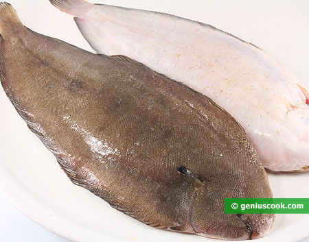 Fish sole