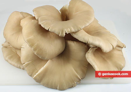 Oyster mushrooms