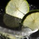 tequila-lime-alcohol-drink