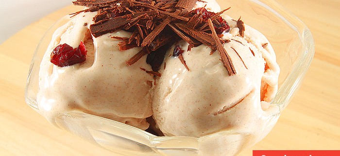 Yogurt Ice Cream with Cinnamon and Cranberries