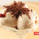 Yogurt Ice Cream with Cinnamon and Cranberries